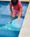 Summer22pool42.jpg