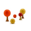 CLICQUES_FLORA_autumn_1.2.jpg