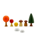 CLICQUES_FLORA_autumn_2.1.jpg