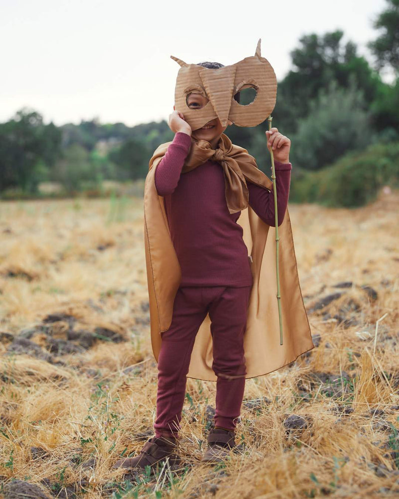 Owl3_800x.jpg