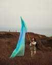 GiantSea6_r_1200x.jpg