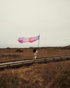 GiantBlossom_1200x.jpg