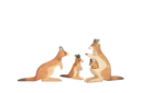 [review] kaengurus_1920x1920.png