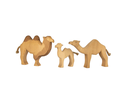 [review] kamelgruppe_1920x1920.png