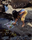MiniKelpForestPlaysilk2_800x.jpg