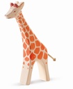 21802 Giraffe gross laufend_1920x1920.jpg