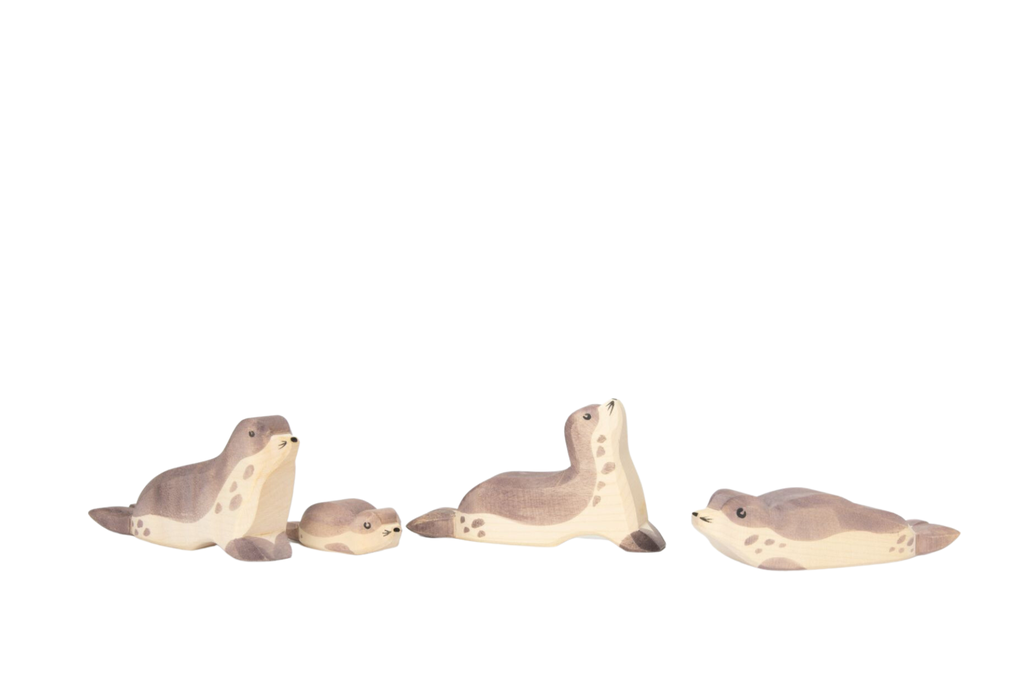 [review] seehunde_1920x1920.png