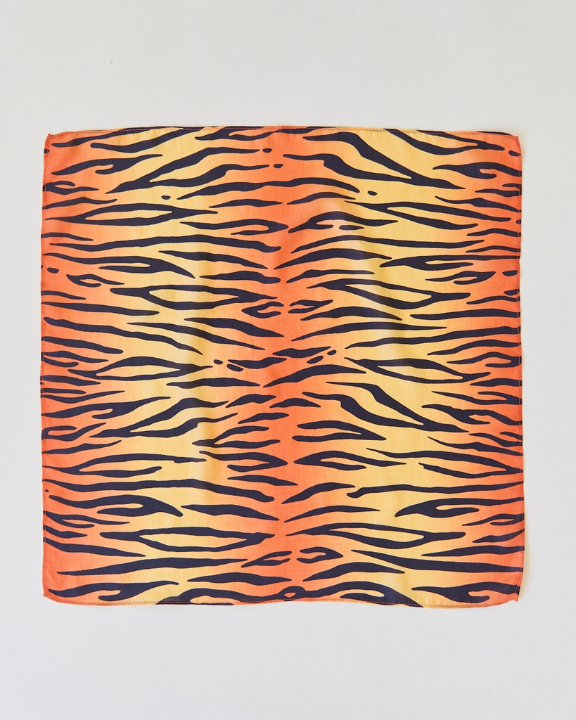 playsilks26.jpg