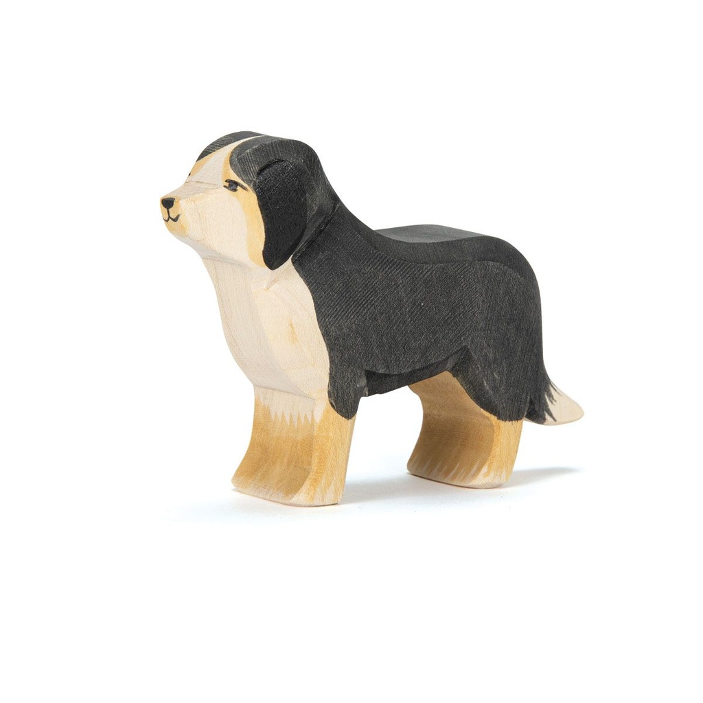 10521 Berner Sennhund_1920x1920.jpg