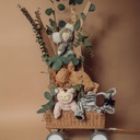 cozy_dinkum_animals_group_5_2000x.jpg