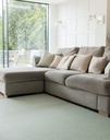 RAMBLERproductINTERIOR.png