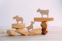 Natural Balance Blocks_6.webp