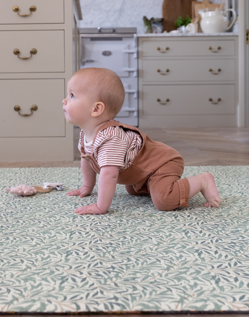 WILLOWBOUGHSMAINproductcrawlingbaby_85952576-9ee9-4b76-87f0-adfc1a4cdcaa.png