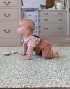 WILLOWBOUGHSMAINproductcrawlingbaby_85952576-9ee9-4b76-87f0-adfc1a4cdcaa.png