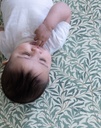 WILLOWBOUGHSproductcloseupbaby.png