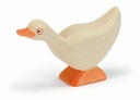 13314 Gans stehend_1920x1920.jpg