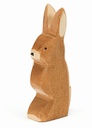 15003 Hase Ohr hoch_1920x1920.jpg