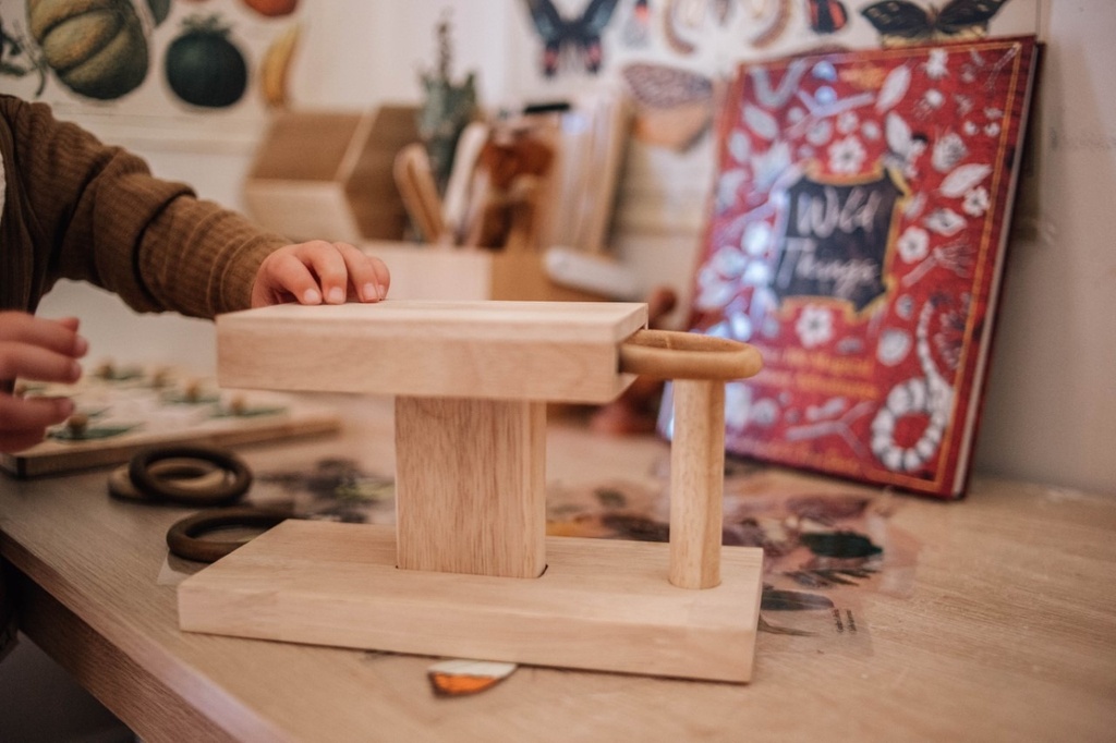 Montessori Rings Activity