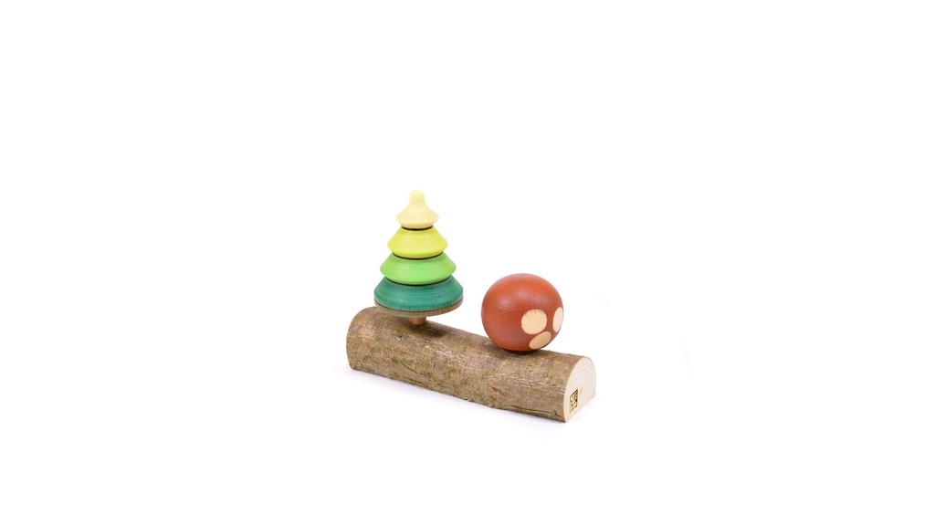 Tree Top + Porcini Mushroom