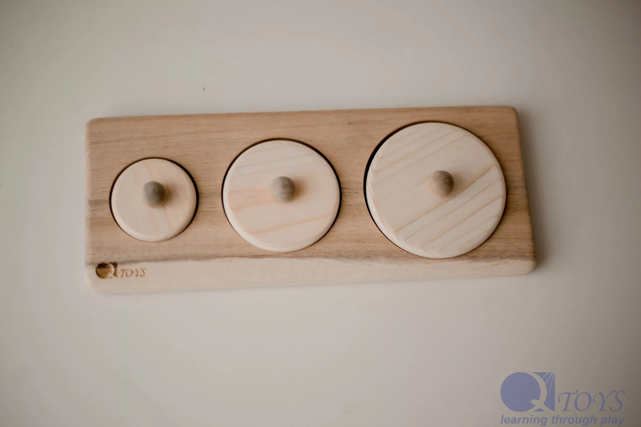 3 Circle Puzzle