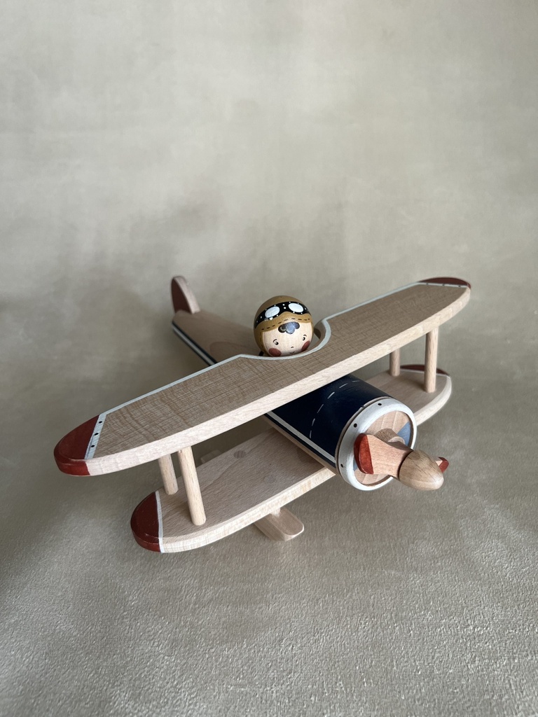 Plane With one Passenger