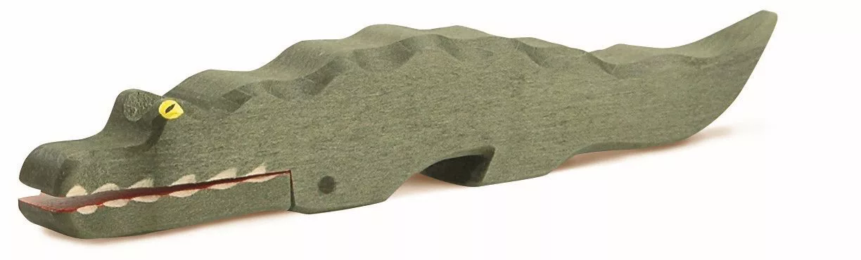 Crocodile