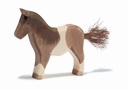 Pony