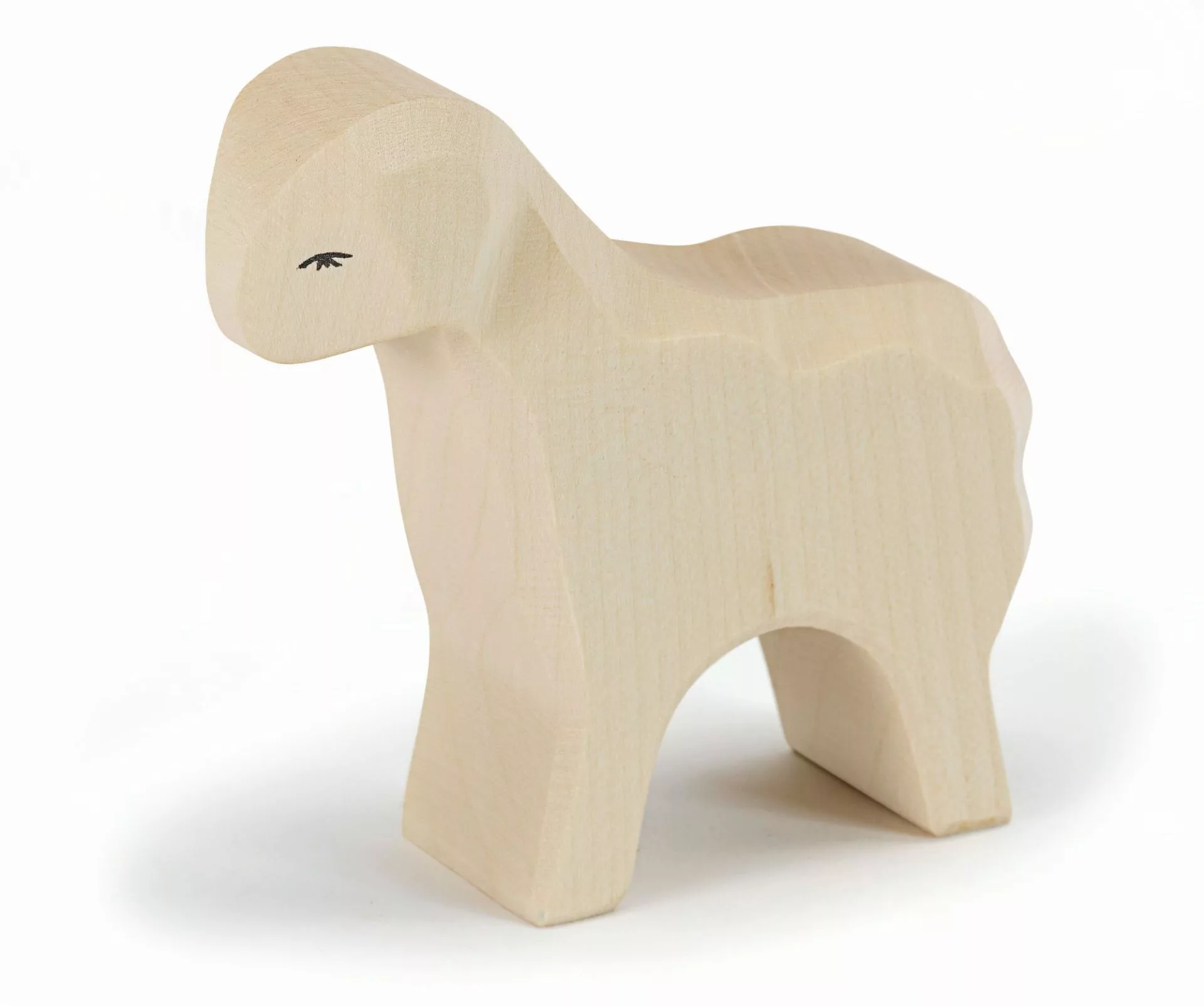 Sheep standing