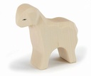 Sheep standing