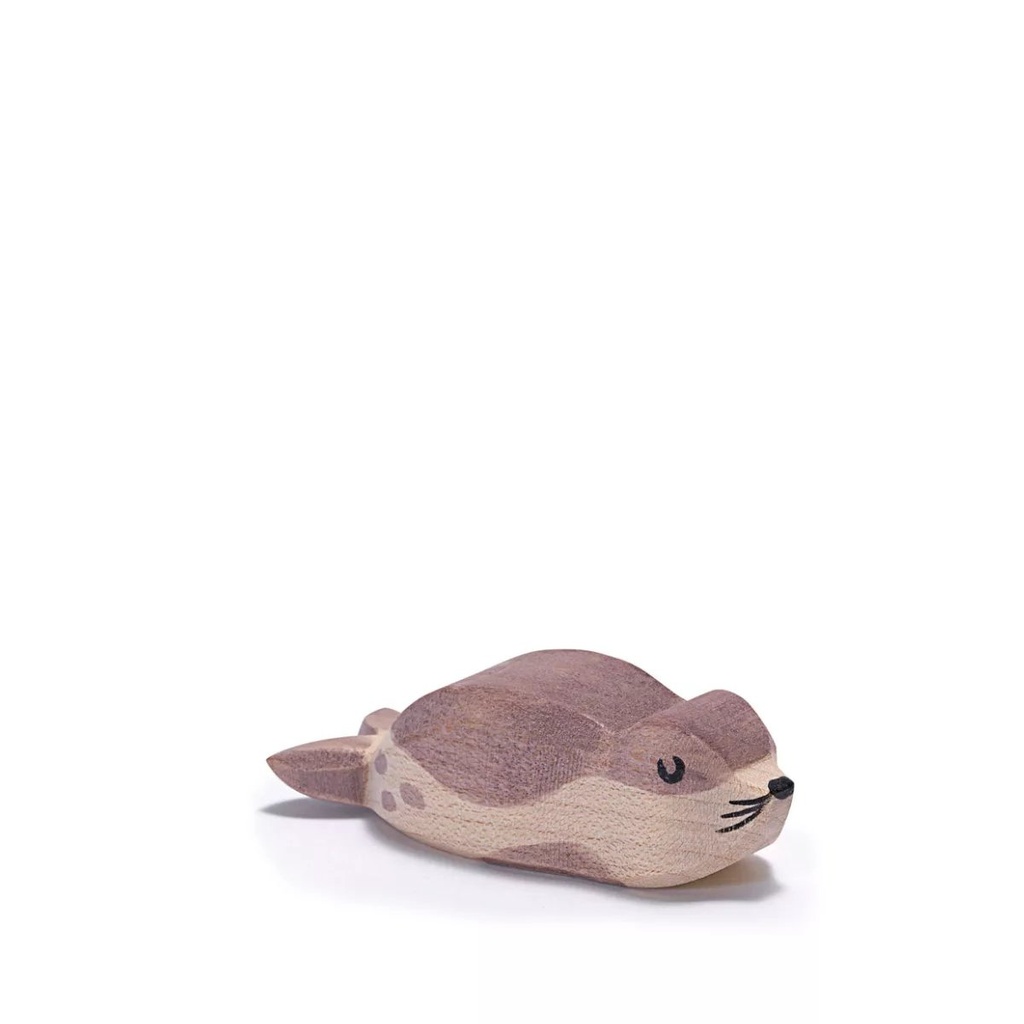 أسد البحر صغير
