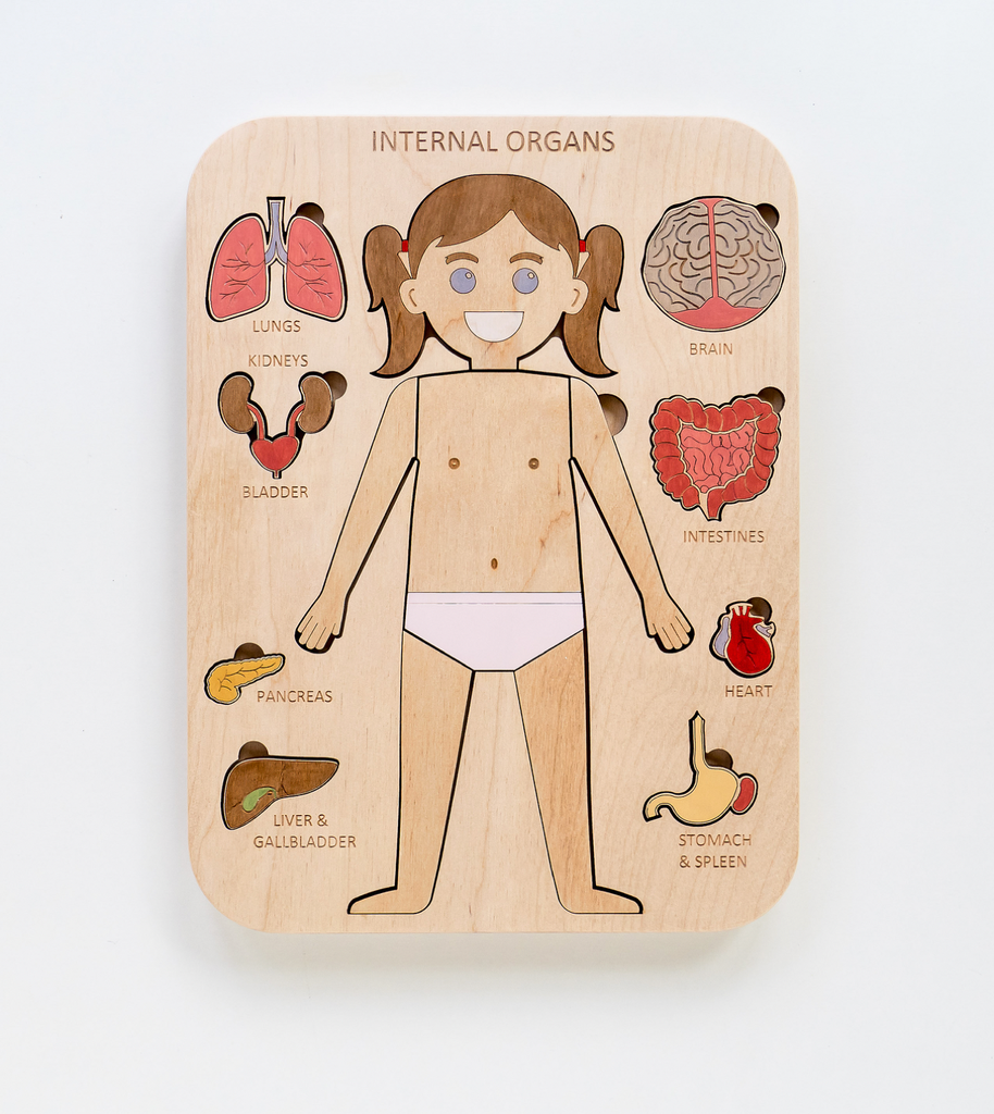 أحجية الأعضاء الداخلية (بنت)
