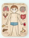 Internal Organs Puzzle (Boy)