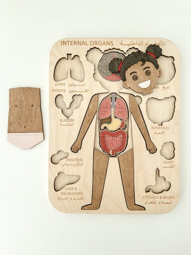 Internal Organs Puzzle (Brown Girl)