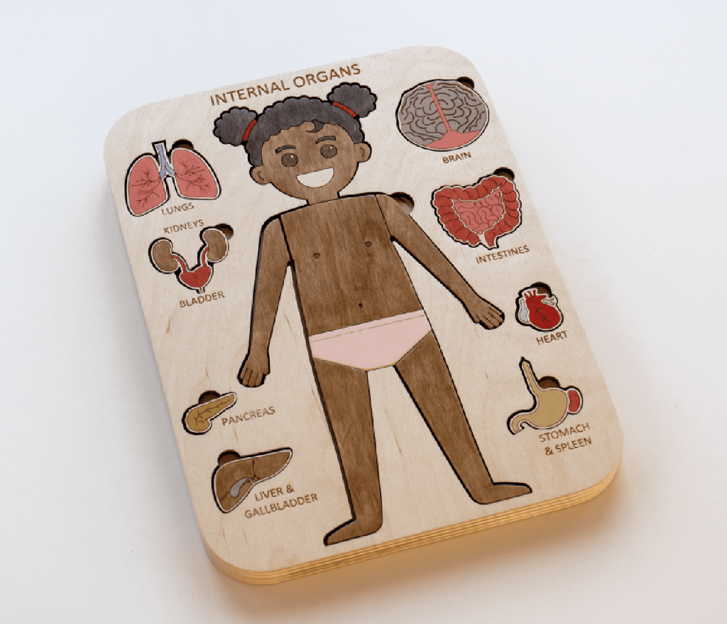 Internal Organs Puzzle (Brown Girl)