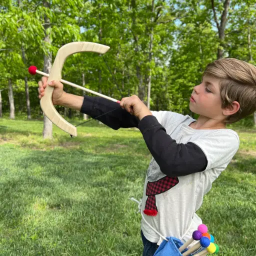 Bow and Arrow Set