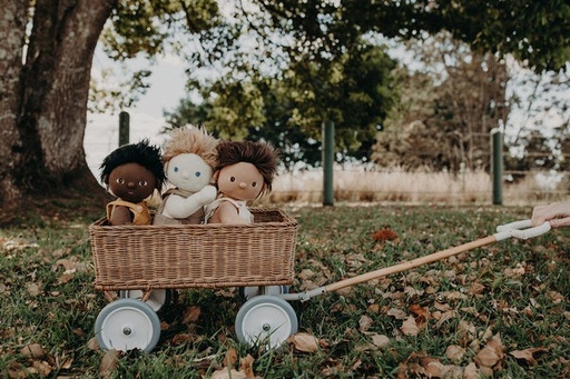 RATTAN WONDER WAGON