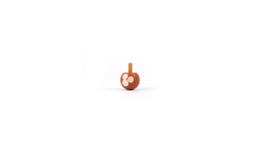 [KA510] Turn over Top Porcini Mushroom