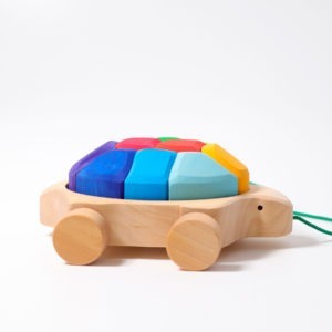 Rainbow Turtle