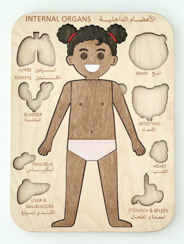 Internal Organs Puzzle (Girl) - Image 4