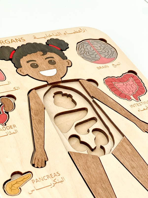 Internal Organs Puzzle (Girl) - Image 2