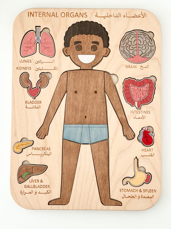 Internal Organs Puzzle (Boy)