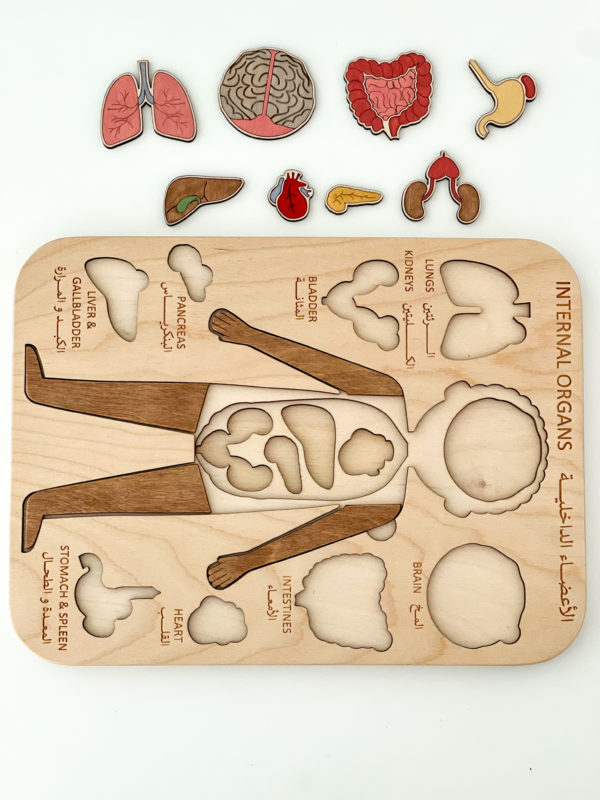 Internal Organs Puzzle (Boy) - Image 2