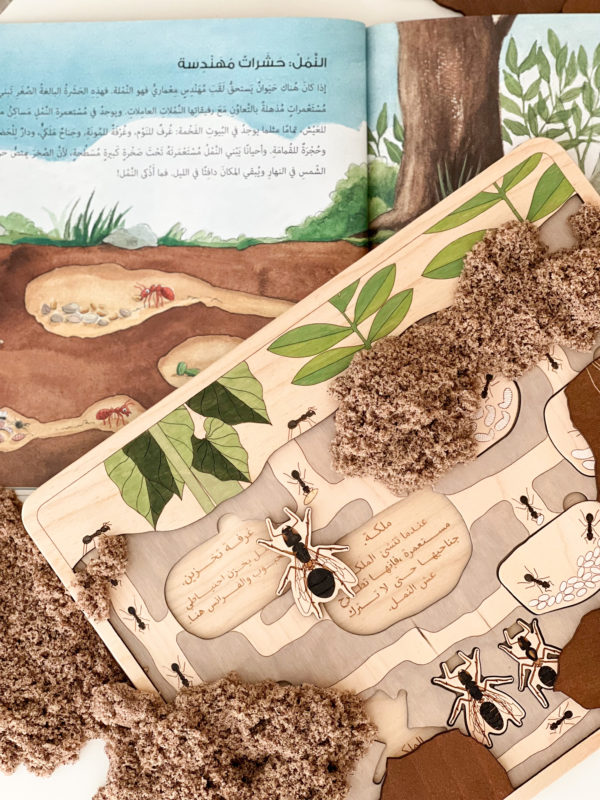 Anthill Puzzle - Image 5