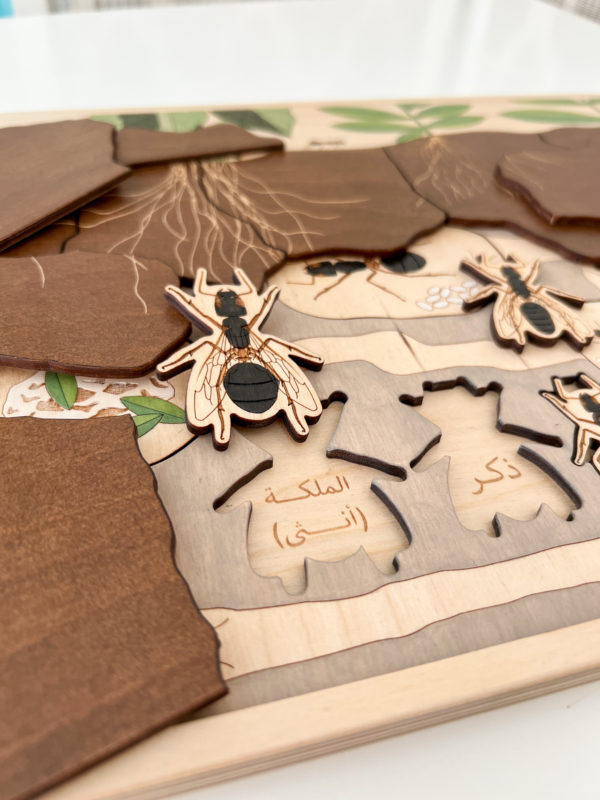 Anthill Puzzle - Image 6