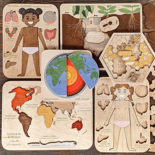 Internal Organs Puzzle (Boy) - Image 5