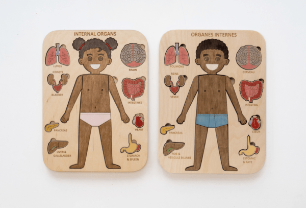 Internal Organs Puzzle (Girl) - Image 5