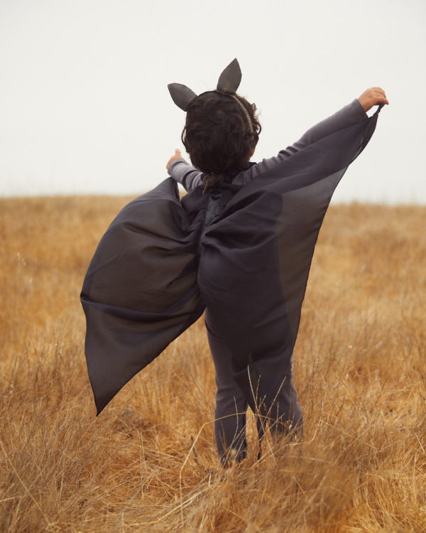 Bat Wings - Image 5