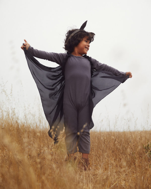 Bat Wings - Image 6