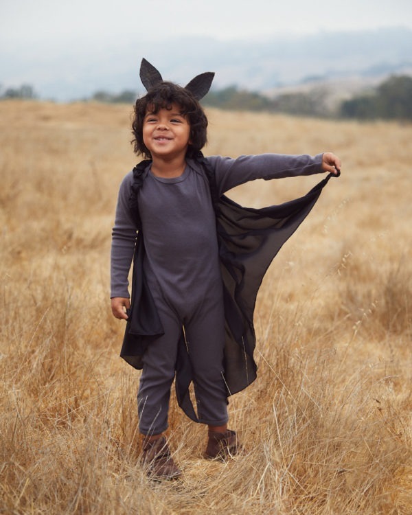 Bat Wings - Image 8