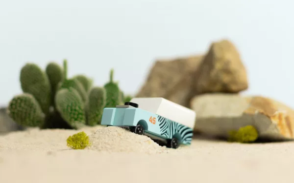 Mini Zebra Drifter - Image 5